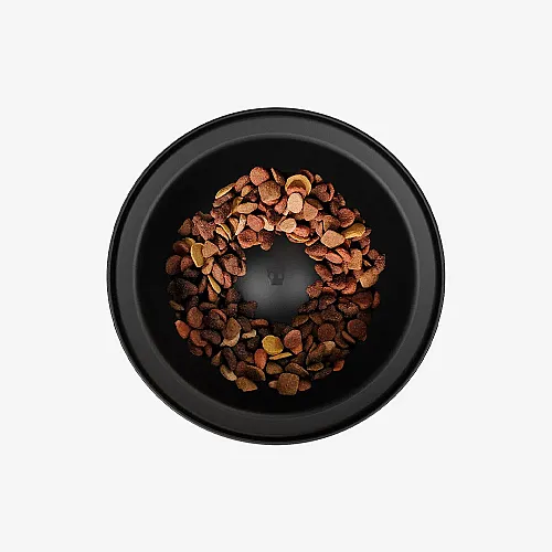 Миска для собак, що регулюється по висоті Zee.Dog - Zee.Bowl Sand 30 см 3