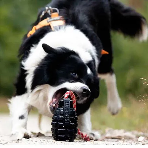 Міцна іграшка для ласощів з канатом USA-K9 - Grenade, black M 4