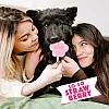 Морозиво для собак Smoofl Strawberry зі смаком полуниці 2х52,5 г 3