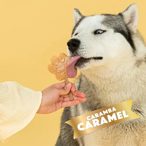Морозиво для собак Smoofl Creami Caramel зі смаком карамелі 2х52,5 г 5
