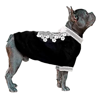 Вишиванка для собак Montmorency - Захар Беркут S mini чорна