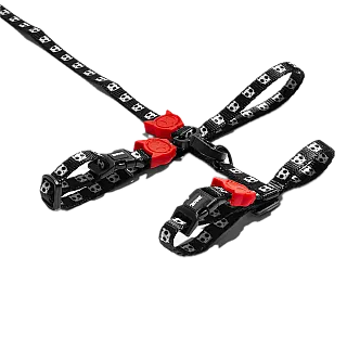 Набір шлея та повідець для кішок Zee.Cat-SKULL 2.0 HARNESS + LEASH SET (20-30 см , 26-41 см)