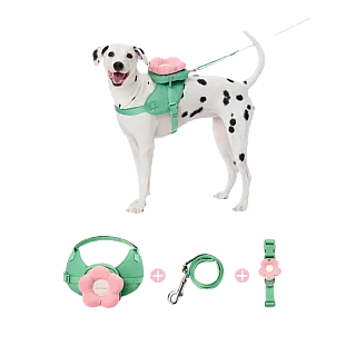 Комплект квітка 3в1 для собак Vetreska Flora шлейка-рюкзак, нашийник і повідець (L)