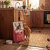 Корм сухий Carnilove Active Lamb & Wild Boar Sterilised для стерилізованих котів ягня і дикий кабан 400 г 2