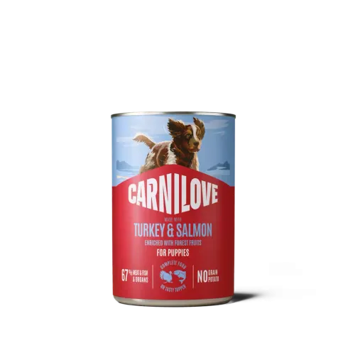 Корм вологий Carnilove Salmon & Turkey для цуценят паштет лосось та індичка 400 г 1