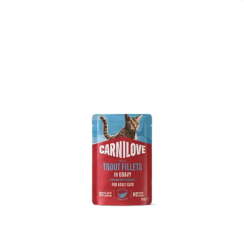 Корм вологий Carnilove Gravy Trout with Echinacea для котів форель та ехінацея в соусі 85 г 1