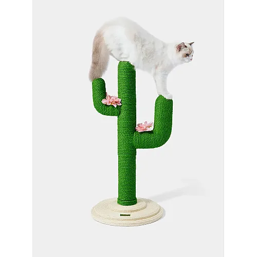 Кігтеточка для котів Vetreska Oasis Cactus Cat Tree 31 міні 2