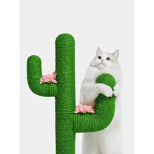 Кігтеточка для котів Vetreska Oasis Cactus Cat Tree 31 міні 3