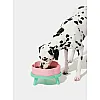Керамічна миска Vetreska Flora Ceramic Pet Bowl на підставці (М) 2