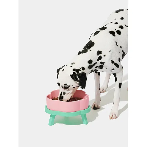 Керамічна миска Vetreska Flora Ceramic Pet Bowl на підставці (М) 2