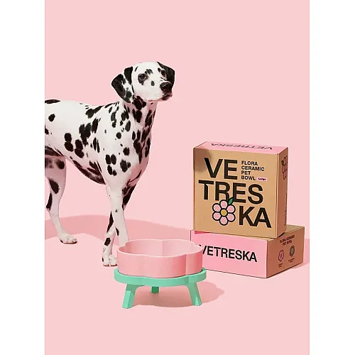 Керамічна миска Vetreska Flora Ceramic Pet Bowl на підставці (М) 5