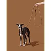 Повідець з нашийником для собак Vetreska - Coffee Hands-Free 135 - 249 см 4