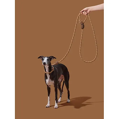 Повідець з нашийником для собак Vetreska - Coffee Hands-Free 135 - 249 см 4