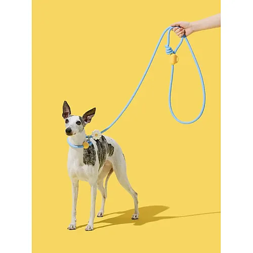 Повідець з нашийником для собак Vetreska - Daisy Hands-Free 135 - 249 см 3
