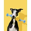 Іграшка канат з каучуковою ромашкою Vetreska Daisy і двома вузлами 26*5,8*4,6 см 6
