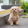 Нашийник для собак Dog Copenhagen Urban Classic Collar лимонний з веганської силіконової шкіри (XS) 5