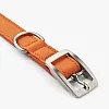 Нашийник для собак Dog Copenhagen Urban Classic Collar помаранчевий з веганської силіконової шкіри (M) 3