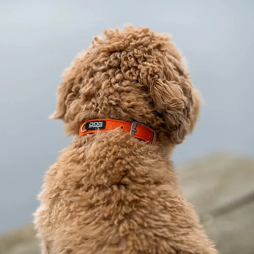 Нашийник для собак Dog Copenhagen Urban Classic Collar помаранчевий з веганської силіконової шкіри (M) 5