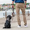 Багатофункціональний повідець Dog Copenhagen Urban Classic Hands-Free мокко з веганської силіконової шкіри (S) 2 м 5
