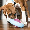Іграшка KONG Puppy Gyro для цуценят та собак дрібних порід, інтерактивна, розмір S, колір в асортименті 4